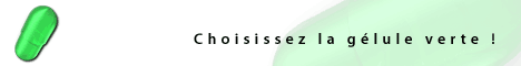 seek moteur de recherche